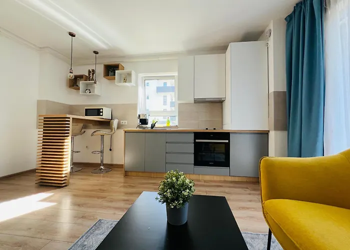 Apartment Richy Brasov
